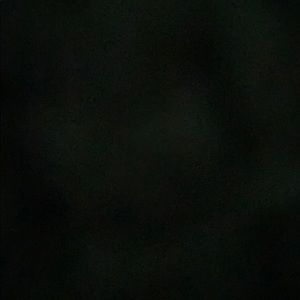 Meet your Posher, Cassidy